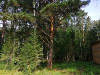 Лот: 11758333. Фото: 4. земельный участок п. Минино Новый... Красноярск
