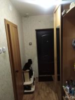 Лот: 3575506. Фото: 3. Сдам однокомнатную квартиру в... Недвижимость