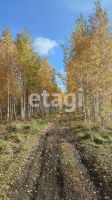 Лот: 25287033. Фото: 4. 3-комн. дом , садоводческое некоммерческое... Красноярск