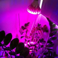 Лот: 11182754. Фото: 3. Фито Лампа светодиодная LED 9вт... Растения и животные