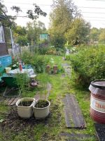 Лот: 25716446. Фото: 2. 2-комн. дача , садоводческое некоммерческое... Продажа