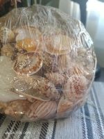 Лот: 22051830. Фото: 2. Подарочный набор ракушек/подарок... Сувениры