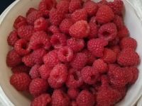 Лот: 7843689. Фото: 4. Малина свежая, с куста. Урожай...