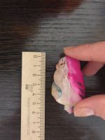 Лот: 15145734. Фото: 2. Сова из набора Айболит, редкая. Коллекционирование, моделизм