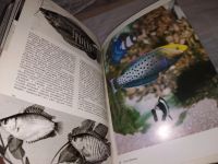 Лот: 14342125. Фото: 5. Иллюстрированная энциклопедия...