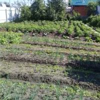 Лот: 8765710. Фото: 6. Продам жилой дом Терентьево Родничок-2...