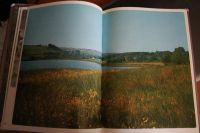 Лот: 9893340. Фото: 4. На лоне природы. Борис Георгиев. Красноярск