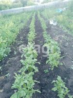 Лот: 25288923. Фото: 3. 1-комн. дача , дачный посёлок... Недвижимость