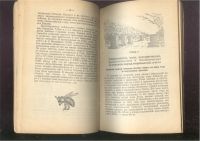 Лот: 21453759. Фото: 20. Библиотека пчеловода.2 книги...