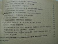 Лот: 4167405. Фото: 4. Как повысить продуктивность свиноматок... Красноярск