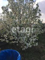 Лот: 25293359. Фото: 8. 2-комн. дача , СНТ Заимка-1 СНТ...