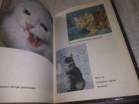 Лот: 21023563. Фото: 3. (209236) Пинтера, Альберт Кошки... Литература, книги