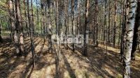 Лот: 25295123. Фото: 12. участок , СНТ Рось СНТ Рось, 57...
