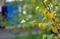 Лот: 10402892. Фото: 3. обьективы для samsung nx Гелиос... Красноярск