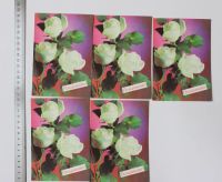 Лот: 11647239. Фото: 2. Советская открытка "Поздравляю... Открытки, билеты и др.