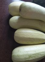 Лот: 25740075. Фото: 2. Кабачки 2. Продукты