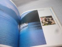 Лот: 13547669. Фото: 16. oz/вбЮ(2092322)Сакка Виктор, Алтайское...