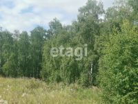 Лот: 25294350. Фото: 5. участок , село Крутая Горка село...
