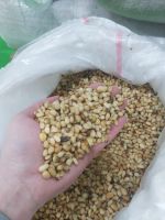 Лот: 18827853. Фото: 2. Ядро кедрового ореха - некондиция. Продукты