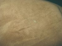 Лот: 20131814. Фото: 4. Отрез водоотталкивающей обивочной... Красноярск