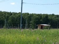 Лот: 25403280. Фото: 5. земельный участок