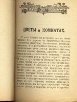 Лот: 13227526. Фото: 4. Ельманова Е. Цветы в комнатах... Красноярск