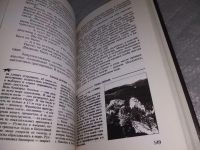 Лот: 18995924. Фото: 7. Зеленая планета, Надежда Козлова...