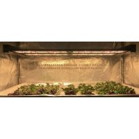 Лот: 17559723. Фото: 3. Гефест 208 Вт LED Full Spectrum... Строительство и ремонт