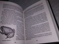 Лот: 18622361. Фото: 10. Шаповалова О. Африка. Серия...