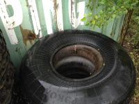 Лот: 5795991. Фото: 2. Шина Трэкол 1300/600/533. Шины, Диски