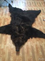 Лот: 7995845. Фото: 2. шкура медведя. Охота