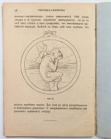 Лот: 20346109. Фото: 7. Резчик-самоучка: Руководство к...