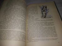 Лот: 21276300. Фото: 8. ок....(2092310) Дом с привидениями...