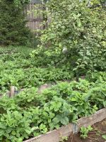 Лот: 20616452. Фото: 7. Дом 104 м2 на участке 10 сот.