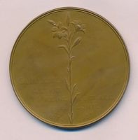 Лот: 19506543. Фото: 2. Бельги 1935 Медаль Королева Изящества... Значки, медали, жетоны
