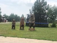 Лот: 25289754. Фото: 17. участок , садоводческое некоммерческое...