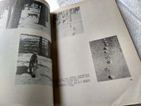 Лот: 18377565. Фото: 7. Новиков Г. А. Жизнь на снегу и...