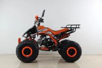 Лот: 25364861. Фото: 4. Квадроцикл MOTAX ATV T-Rex Super... Красноярск