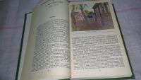 Лот: 18419151. Фото: 4. Библиотека "Родные нивы" Повести...