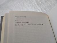 Лот: 5546026. Фото: 2. оз...(1092341)(1092382) Виктор... Литература, книги