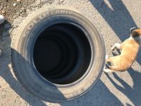 Лот: 16343761. Фото: 4. Комплект летней резины KUMHO SOLUS... Красноярск