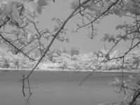 Лот: 9813903. Фото: 6. Инфракрасный ( модифицированный...