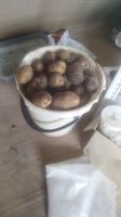 Лот: 16153263. Фото: 2. Картофель. Адретта. Продукты