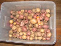 Лот: 13014975. Фото: 2. картофель урожай 2018 года. Продукты