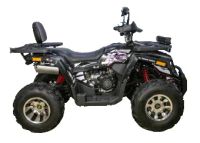 Лот: 25659263. Фото: 5. Квадроцикл AVANTIS Hunter 200...