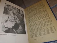 Лот: 18284212. Фото: 4. Лисовский К. К мысу Входному...