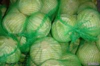 Лот: 2105324. Фото: 2. капуста. Продукты