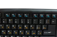 Лот: 4781207. Фото: 2. Клавиатура Dialog KM-025U Black-Blue... Периферия