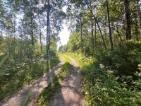 Лот: 25578912. Фото: 19. 1-комн. дача , дачный посёлок...