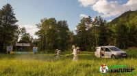 Лот: 5402680. Фото: 3. Обработка от клещей! Безупречная... Красноярск